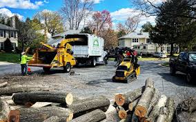 Best Hedge Trimming  in Edgeworth, PA