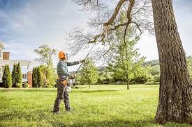 Best Leaf Removal  in Edgeworth, PA
