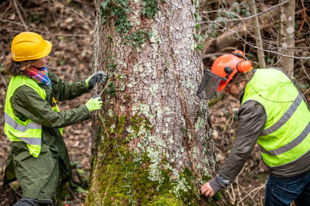 Best Commercial Tree Services  in Edgeworth, PA