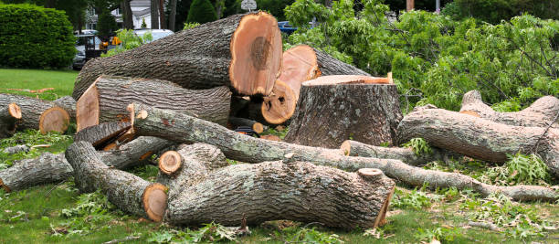 Best Landscape Design and Installation  in Edgeworth, PA
